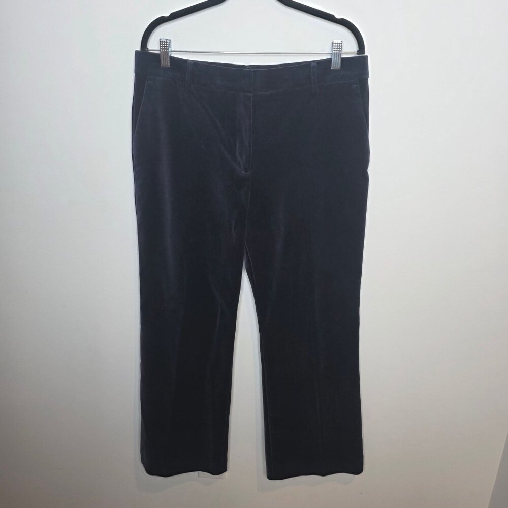 Ann Taylor‎ NWT Pants Womens 14P